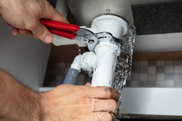 Best Ceiling water damage repair  in Middle Island, NY