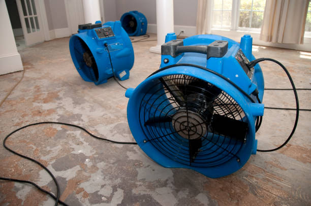 Best Commercial water damage restoration  in Middle Island, NY