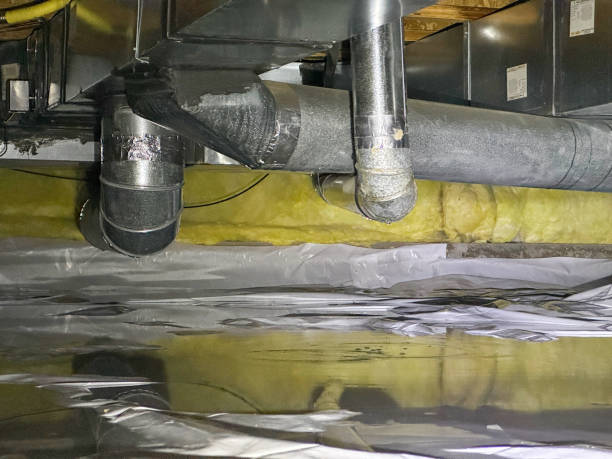 Best Water damage contractors near me  in Middle Island, NY