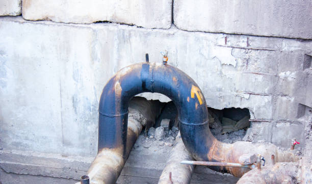  Middle Island, NY Water damage restoration Pros