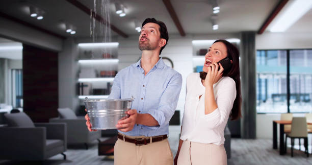 Best Water damage restoration cost  in Middle Island, NY